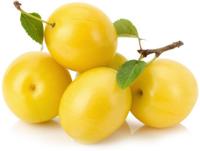 польза и вред для здоровья алычи