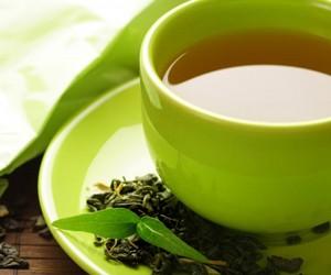 аралия маньчжурская отзывы