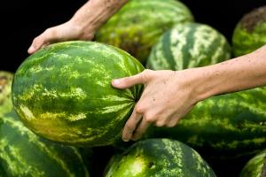 разгрузочный день на арбузе польза и вред