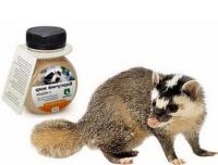 барсучий жир применение при кашле