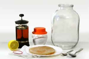 чайный гриб польза и вред отзывы