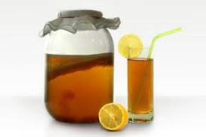 какая польза от чайного гриба