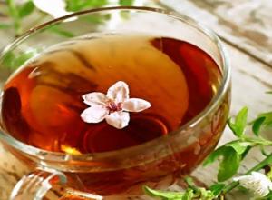 польза чайного гриба при похудении