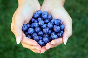 ягода голубика полезные свойства