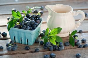 голубика садовая полезные свойства