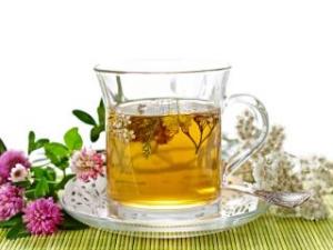 горечавка синяя