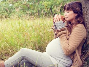 горечавка перекрестнолистная