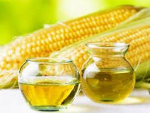 кукурузное масло польза и вред как принимать