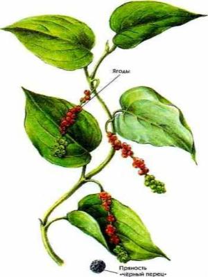 польза черного перца