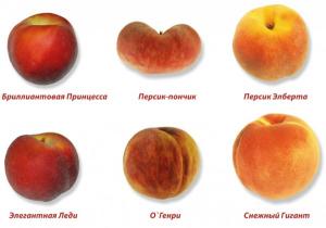 персиковый сок польза и вред