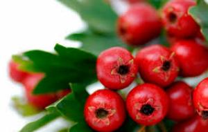 рассеянный склероз симптомы причины и лечение