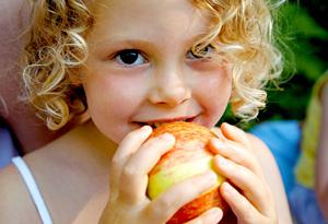 яблоко на ночь польза или вред