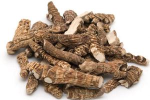 применение адамова корня для женщин