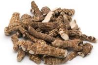 адамов корень применение в народной медицине отзывы