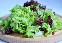 польза и вред салата листового