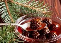варенье из еловых шишек польза и противопоказания