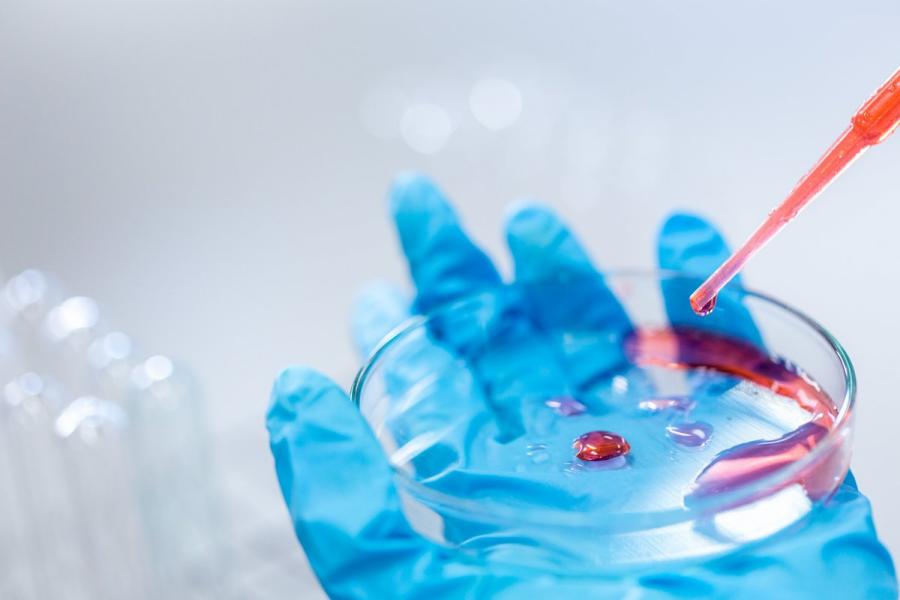 Точная и быстрая диагностика от компании IQlab