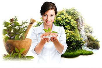 Где найти фитокомплексы для здоровья и долголетия?