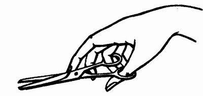 Как правильно держать ножницы парикмахеру при стрижке - советы специалистов