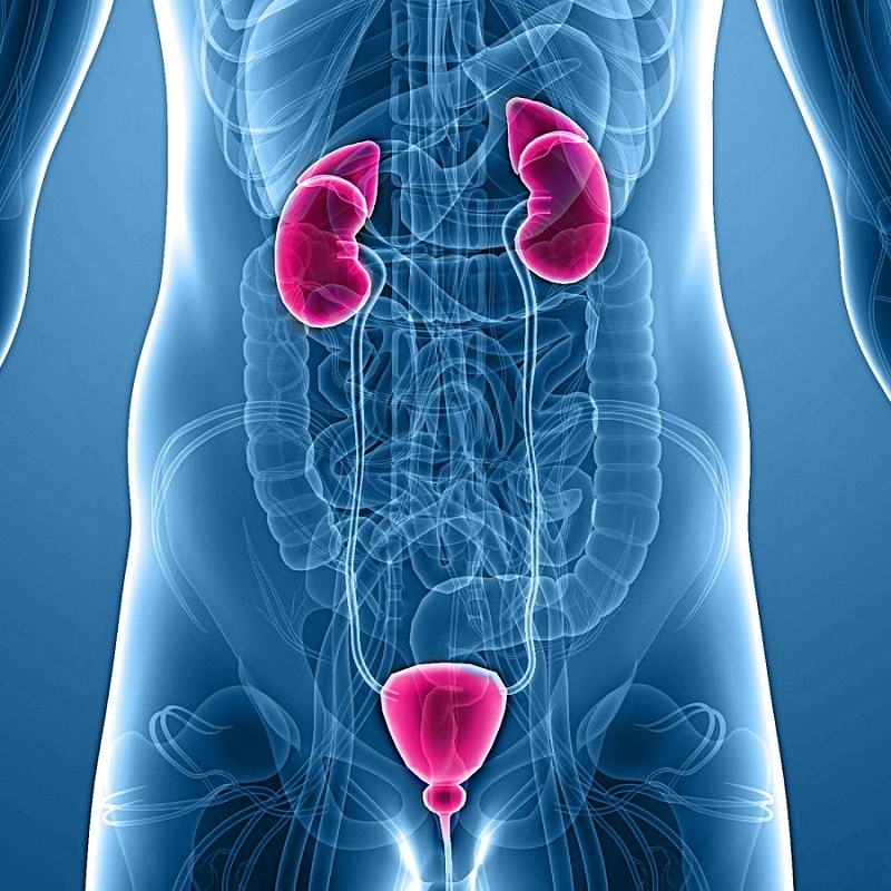 С какого возраста нужно посещать клинику урологии?