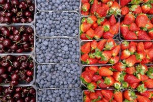 Ягодные растения: как выбрать и не ошибиться