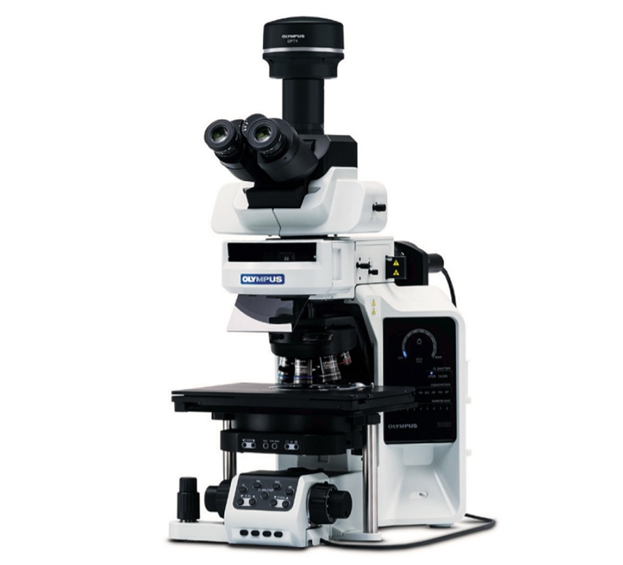 Olympus bx63 – преимущества и особенности микроскопа