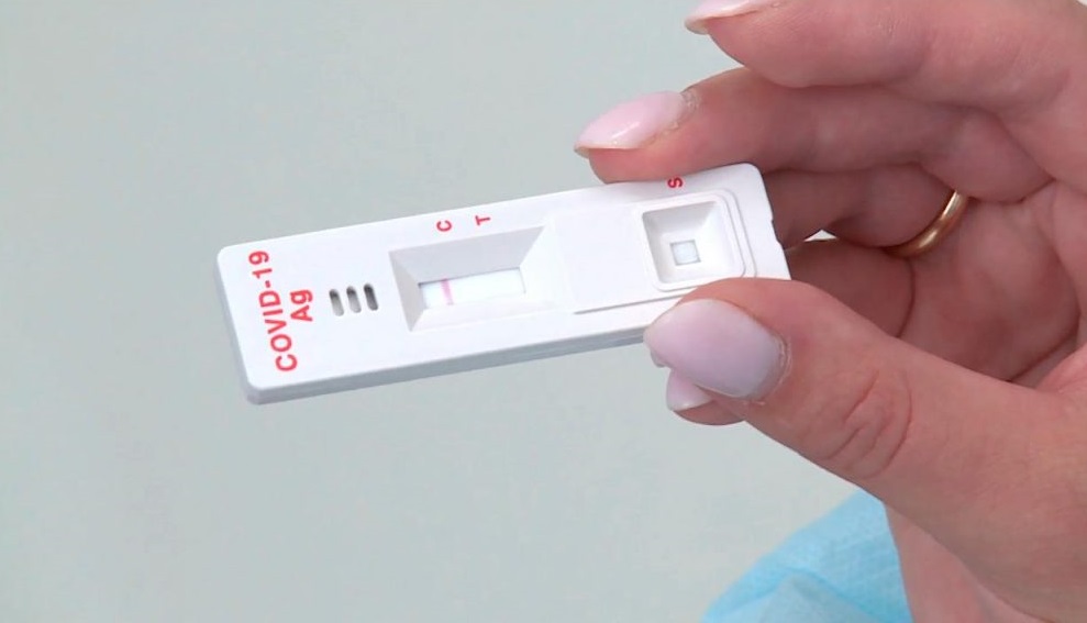 Правила использования домашних экспресс-тестов на COVID