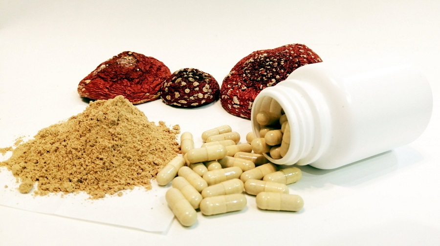 Что такое грибной микродозинг