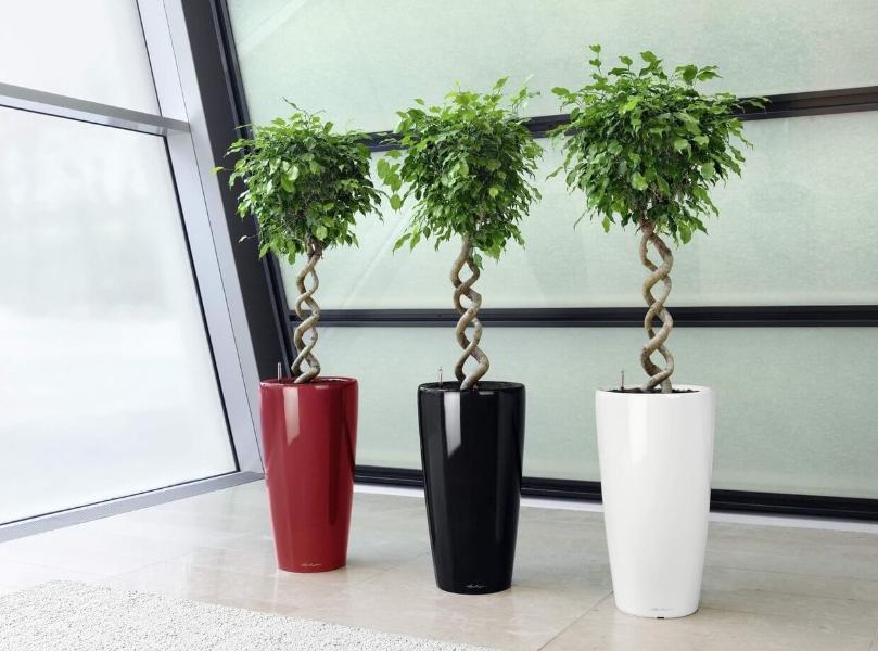 Какие бывают кашпо для цветов: формы, стили, материалы