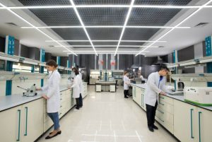 Лабораторная мебель: функциональность и безопасность в научных и исследовательских лабораториях