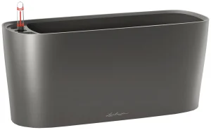 Лечуза в Кашпо: Оригинальное Решение для Растениеводства