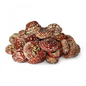 Мухомор красный сушеный: история, свойства и способы использования