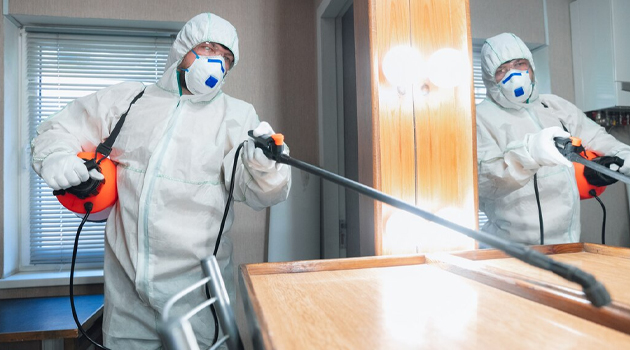 ПрофесЗдоровый дом: Как выбрать методы дезинфекции и дератизациисиональная