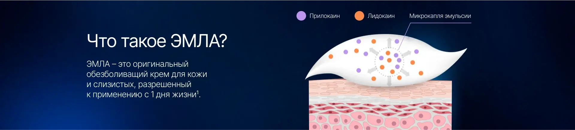 ЭМЛА: Обезболивающий крем для комфортных процедур