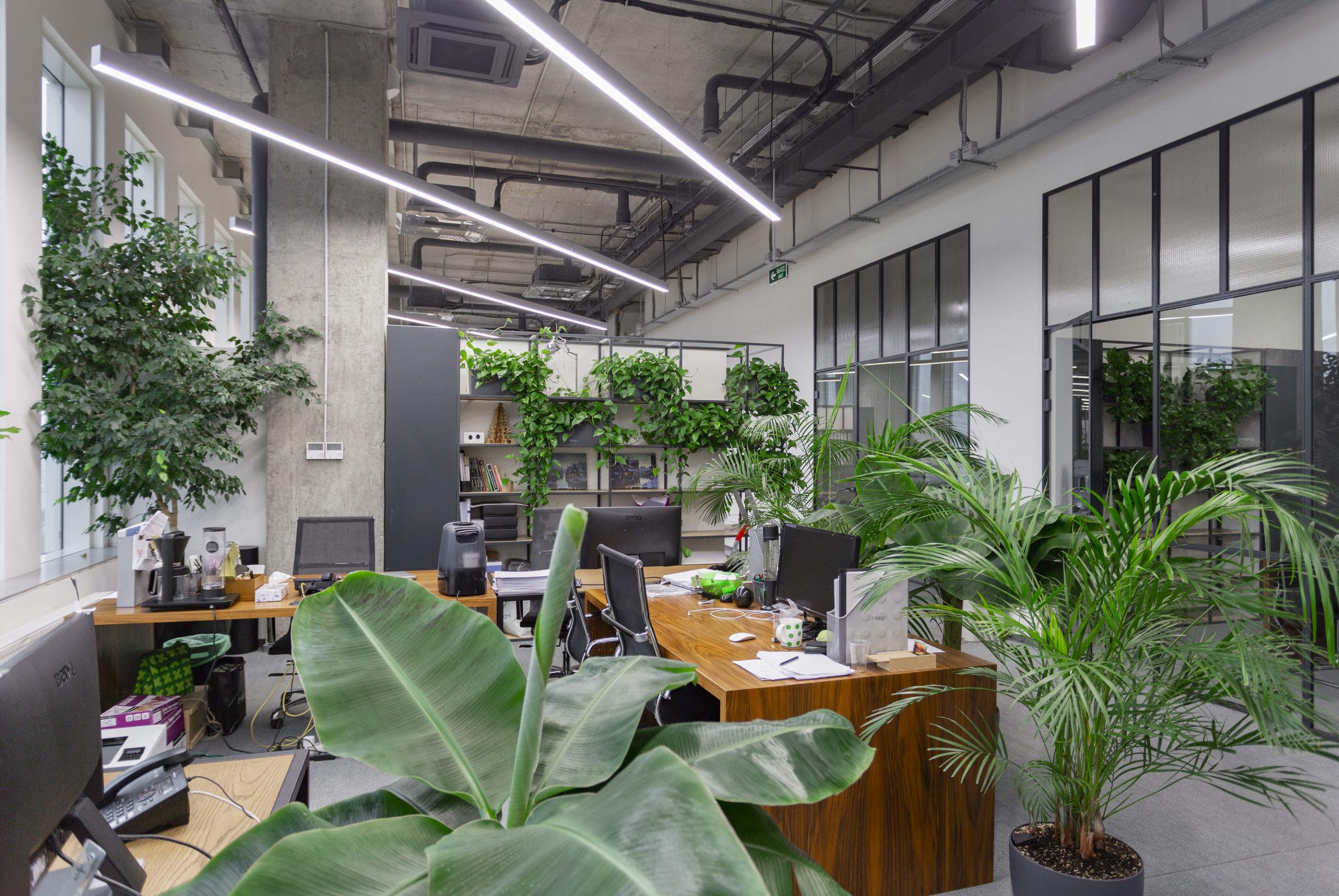 Оазис в мегаполисе: Фитодизайн как искусство озеленения помещений в Москве