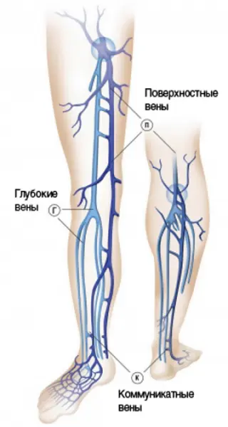 Что входит в косметическую флебологию?