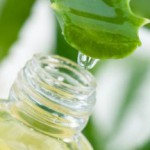 Применение сока алоэ для кожи лица от различных несовершенств Можно ли протирать лицо соком алоэ?