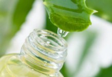 Применение сока алоэ для кожи лица от различных несовершенств Можно ли протирать лицо соком алоэ?