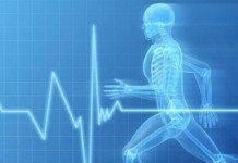 Симптомы аритмии сердца и тактика лечения заболевания народными средствами Аритмия сердца