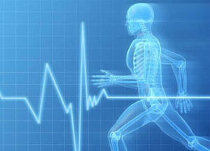 Симптомы аритмии сердца и тактика лечения заболевания народными средствами Аритмия сердца