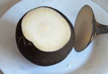 Черная редька от гайморита: можно ли использовать для лечения? Черная редька