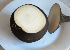 Черная редька от гайморита: можно ли использовать для лечения? Черная редька