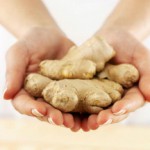 Имбирь для женщин: о полезных свойствах и возможных противопоказаниях Польза и вред имбиря для женщин