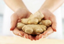 Имбирь для женщин: о полезных свойствах и возможных противопоказаниях Польза и вред имбиря для женщин