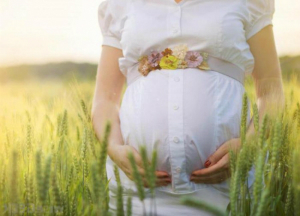Можно ли пить ромашку при беременности: показания и противопоказания Ромашка при беременности