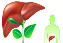 Лечение жирового гепатоза и асцита при циррозе печени народными средствами лечение печени народными средствами
