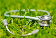 Тактика лечения аллергии народными средствами в домашних условиях Лечение аллергии