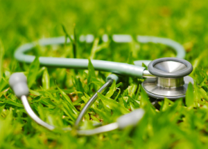 Тактика лечения аллергии народными средствами в домашних условиях Лечение аллергии