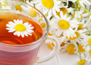 Домашний лекарь: о полезных свойствах и противопоказаниях ромашки аптечной Чай из ромашки