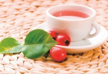 Как нужно правильно заваривать шиповник, чтобы максимально сохранить витамины? Напиток из шиповника